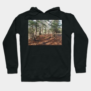 Fairytale forest Hoodie